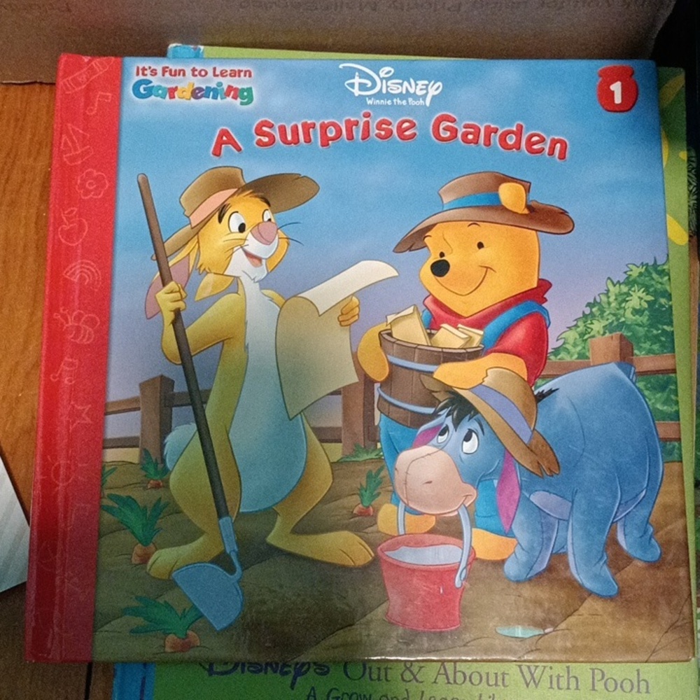 A Surprise Garden (Disney Winnie the Pooh; It's Fun to Learn, No. 1)